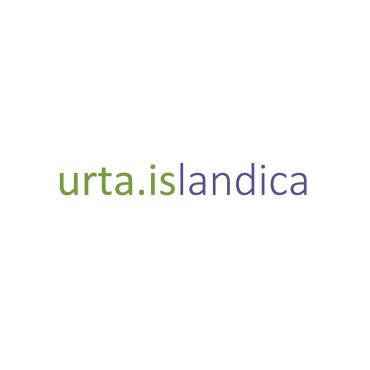 Urta Islandica