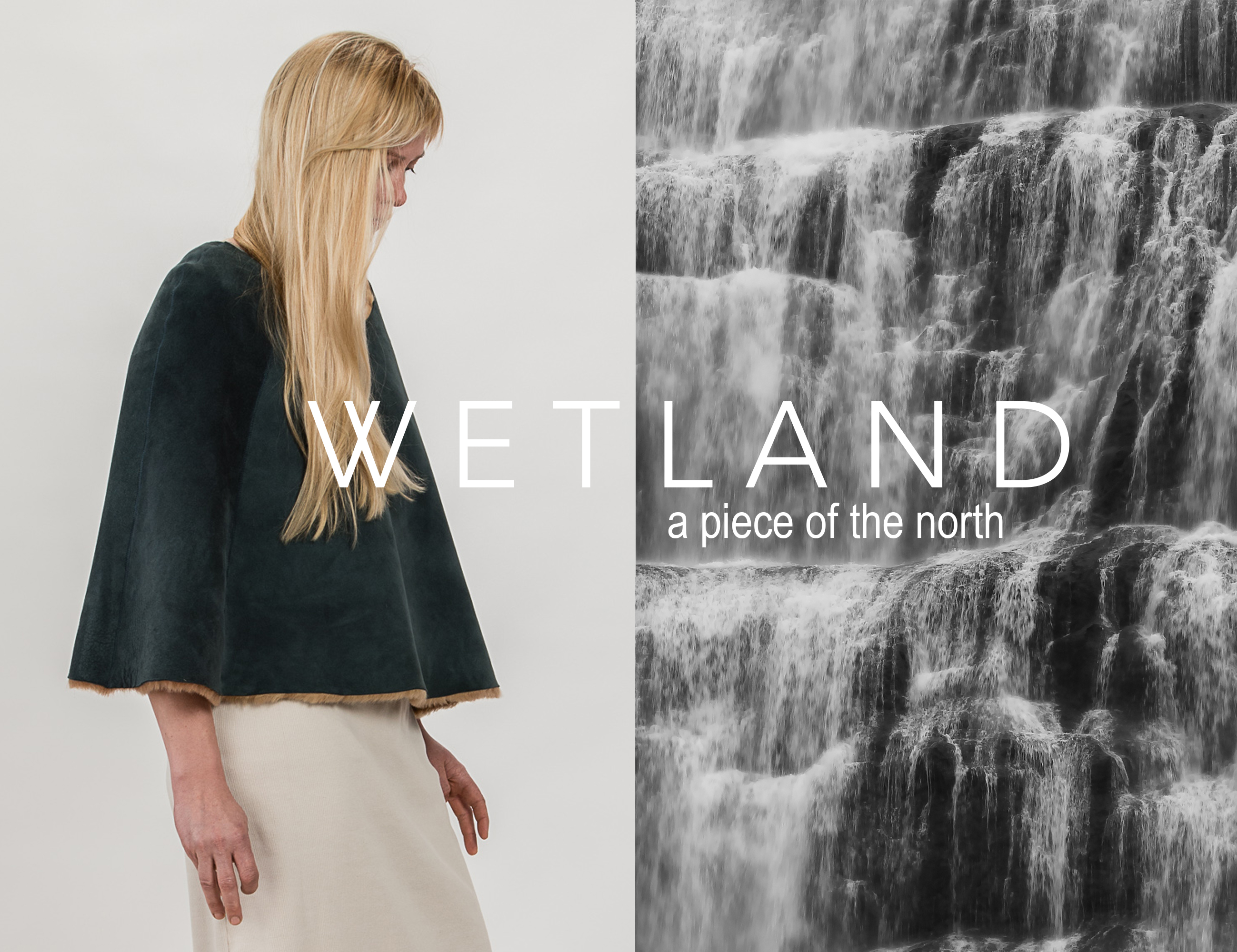 Wetland