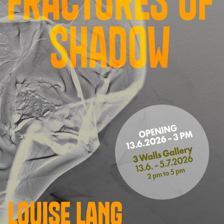 poster_fractures-of-shadow_louise-lang