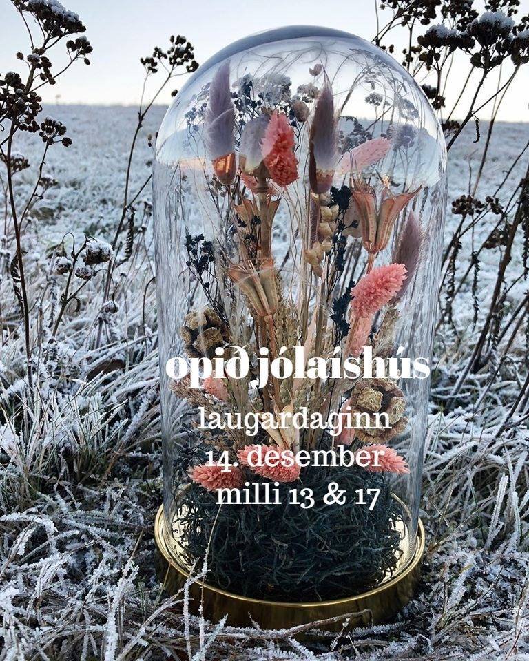 Jólaopnun í Íshúsi Hafnarfjarðar