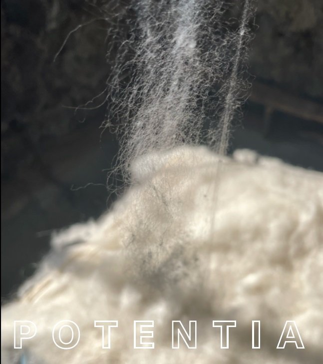 P O T E N T I A