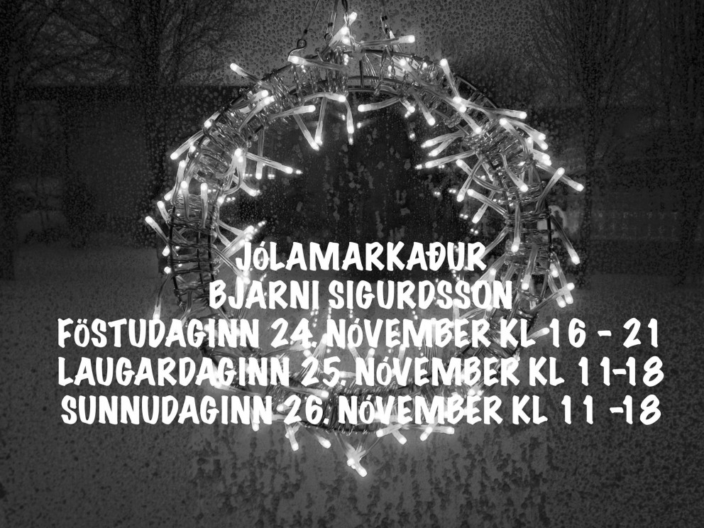 Jólamarkaður Bjarni Sigurdsson 2017