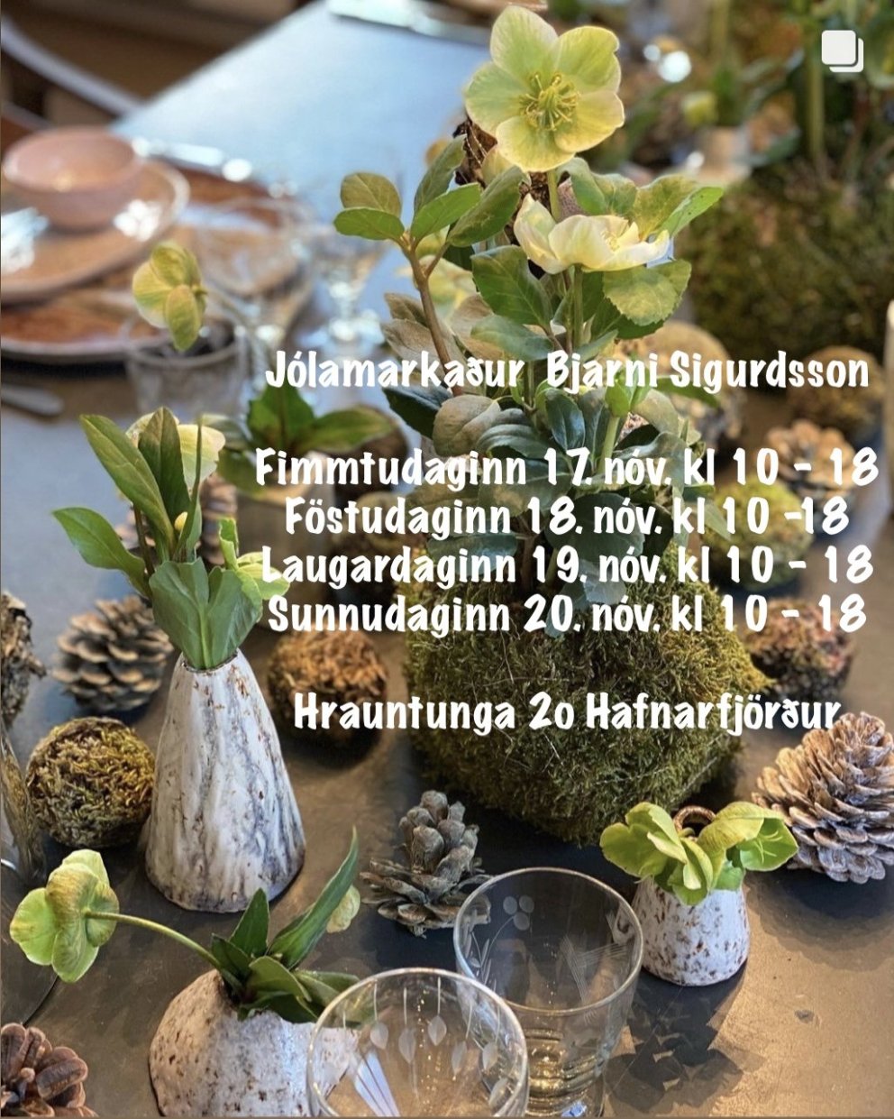 Jólamarkaður Bjarna Sigurðssonar